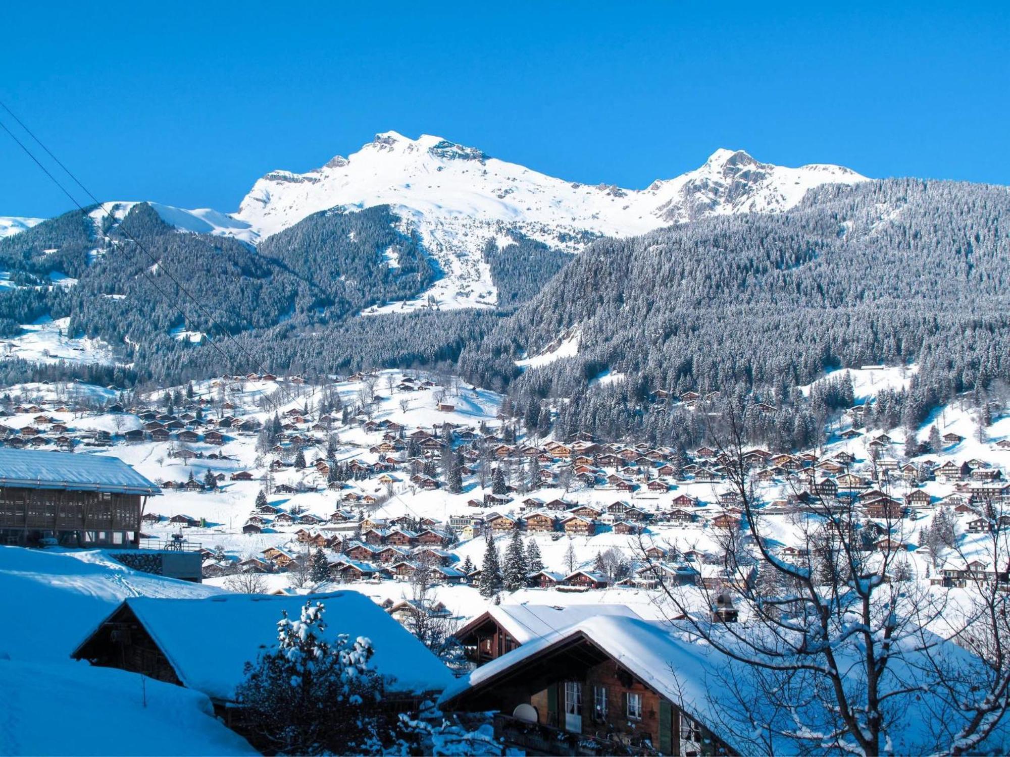 Apartment Chalet Auf Dem Vogelstein-2 By Interhome Grindelwald Zewnętrze zdjęcie