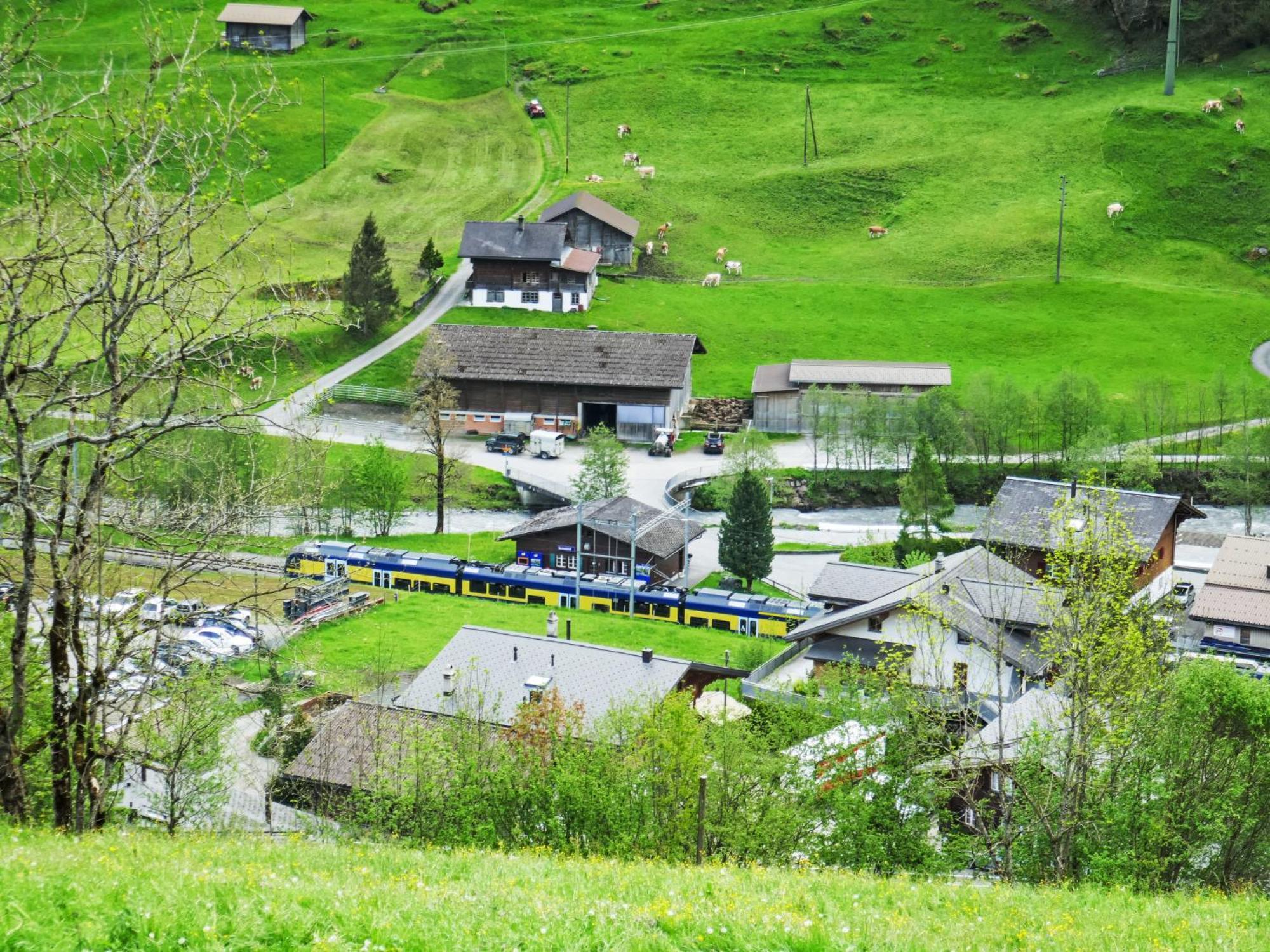 Apartment Chalet Auf Dem Vogelstein-2 By Interhome Grindelwald Zewnętrze zdjęcie