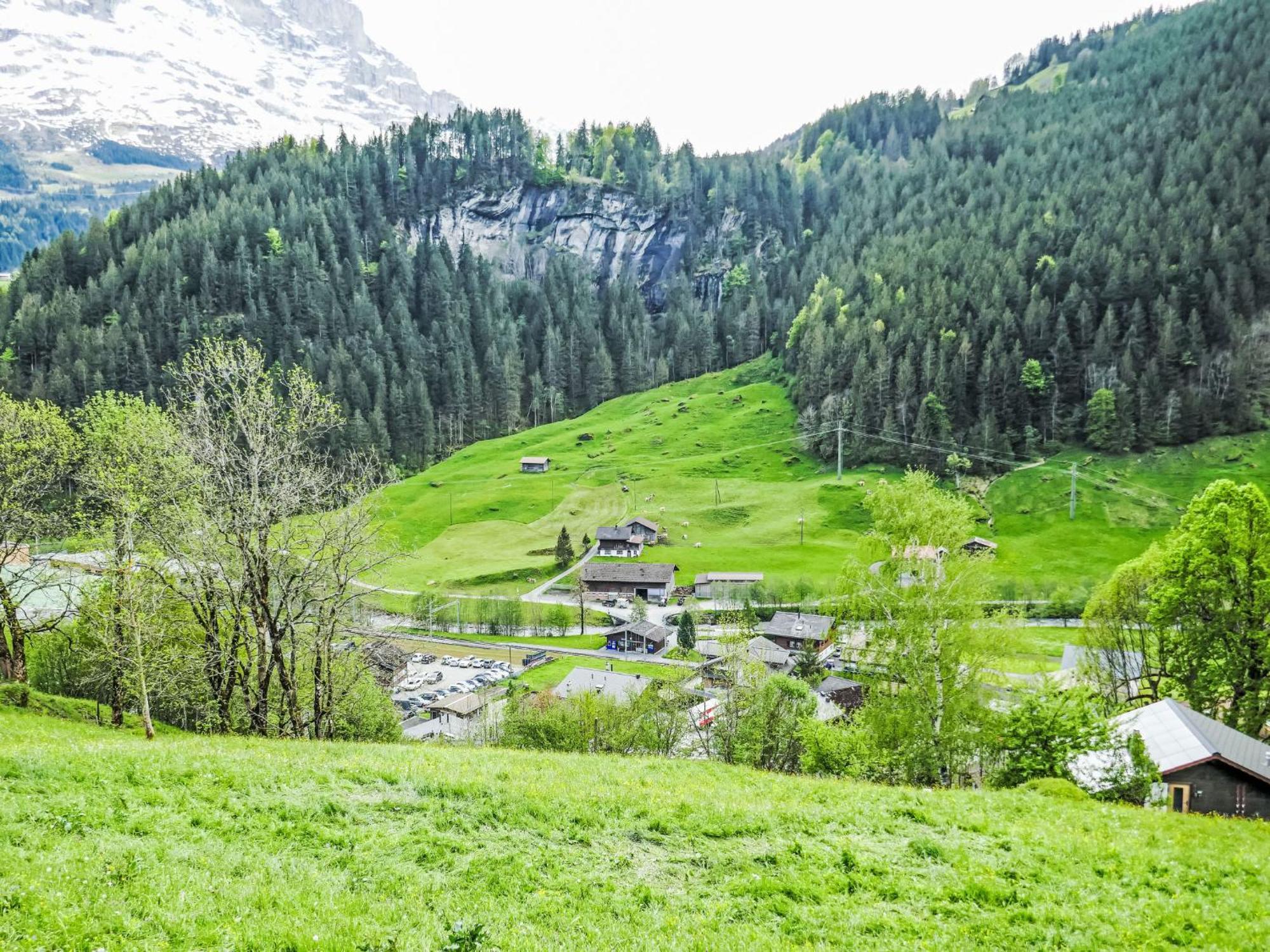 Apartment Chalet Auf Dem Vogelstein-2 By Interhome Grindelwald Zewnętrze zdjęcie
